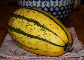 Photo of Raw Roasted Delicata Squash